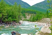 Река Светлая